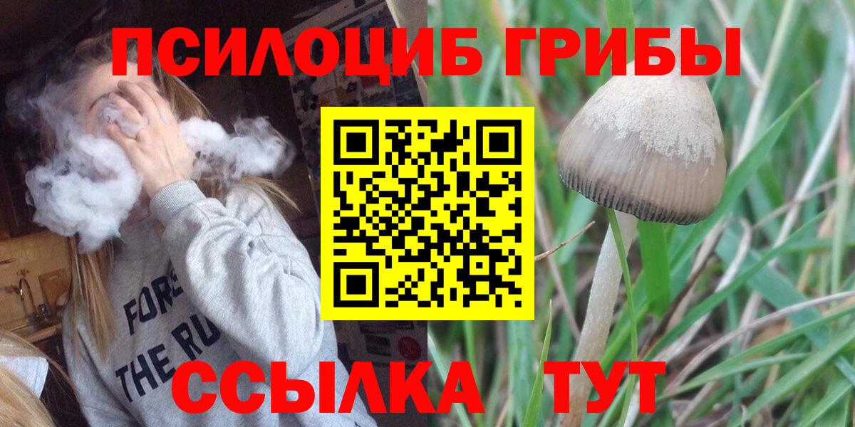Псилоцибиновые грибы Psilocybe  Вход с VPN  Дзержинск 